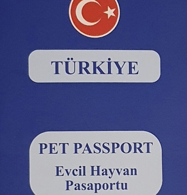 Evcil hayvan pasaportu